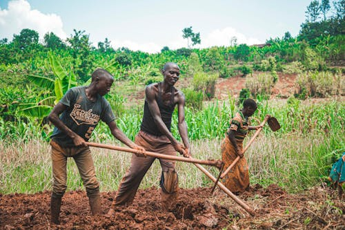 Community members tilling soil with hand tools on a hillside